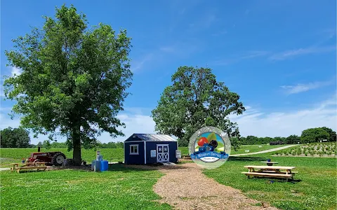 Missouri Berries image