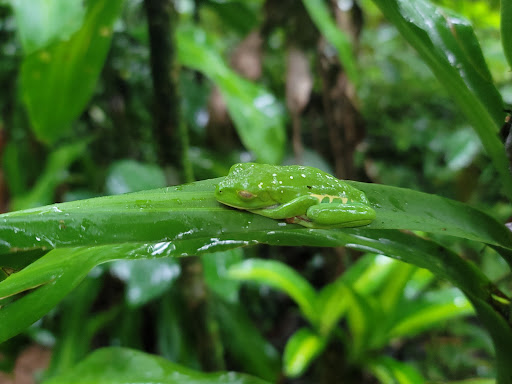 Gym «Life Time Fitness», reviews and photos, 1551 E Debbie Ln, Mansfield, TX 76063, USA