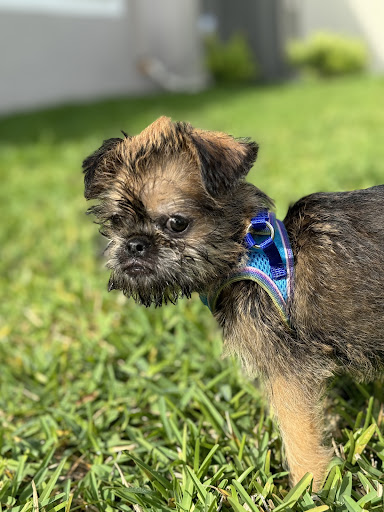 Privileged Critters Animal Hospital image