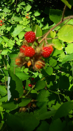 Campground «Holly Shores Camping Resort», reviews and photos, 491 U.S. 9, Cape May, NJ 08204, USA