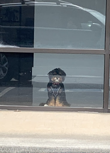 Insurance Agency «State Farm: Mansour Hasan», reviews and photos