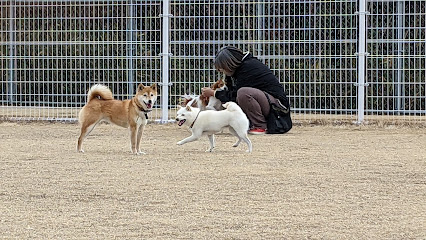 みどりのドッグラン