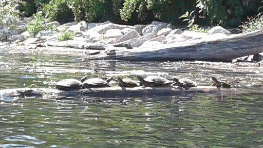 Park «Lake Front Park», reviews and photos, 23000 Jefferson Ave, St Clair Shores, MI 48080, USA