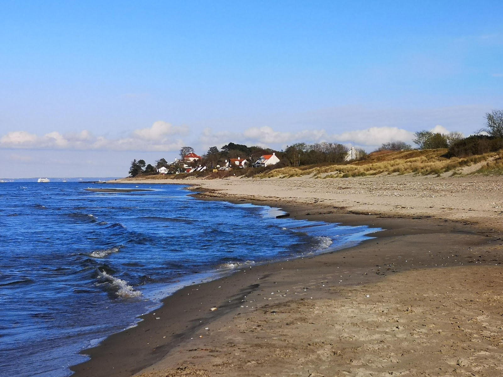 Foto af Dronningmølle Strand - populært sted blandt afslapningskendere