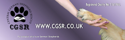 Central German Shepherd Rescue - CGSR - Registered Charity 1161944