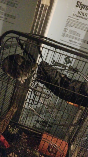 Pet Supply Store «Petco Animal Supplies», reviews and photos, 5125 Jonestown Rd #195, Harrisburg, PA 17112, USA