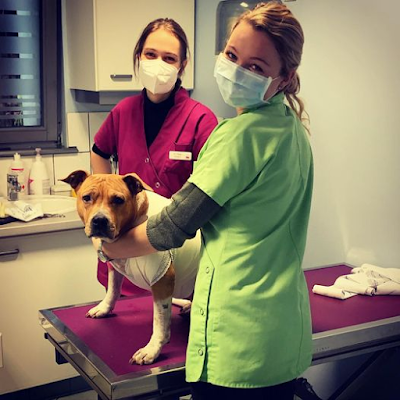 Clinique Vétérinaire Univet Les Tanneries à Strasbourg