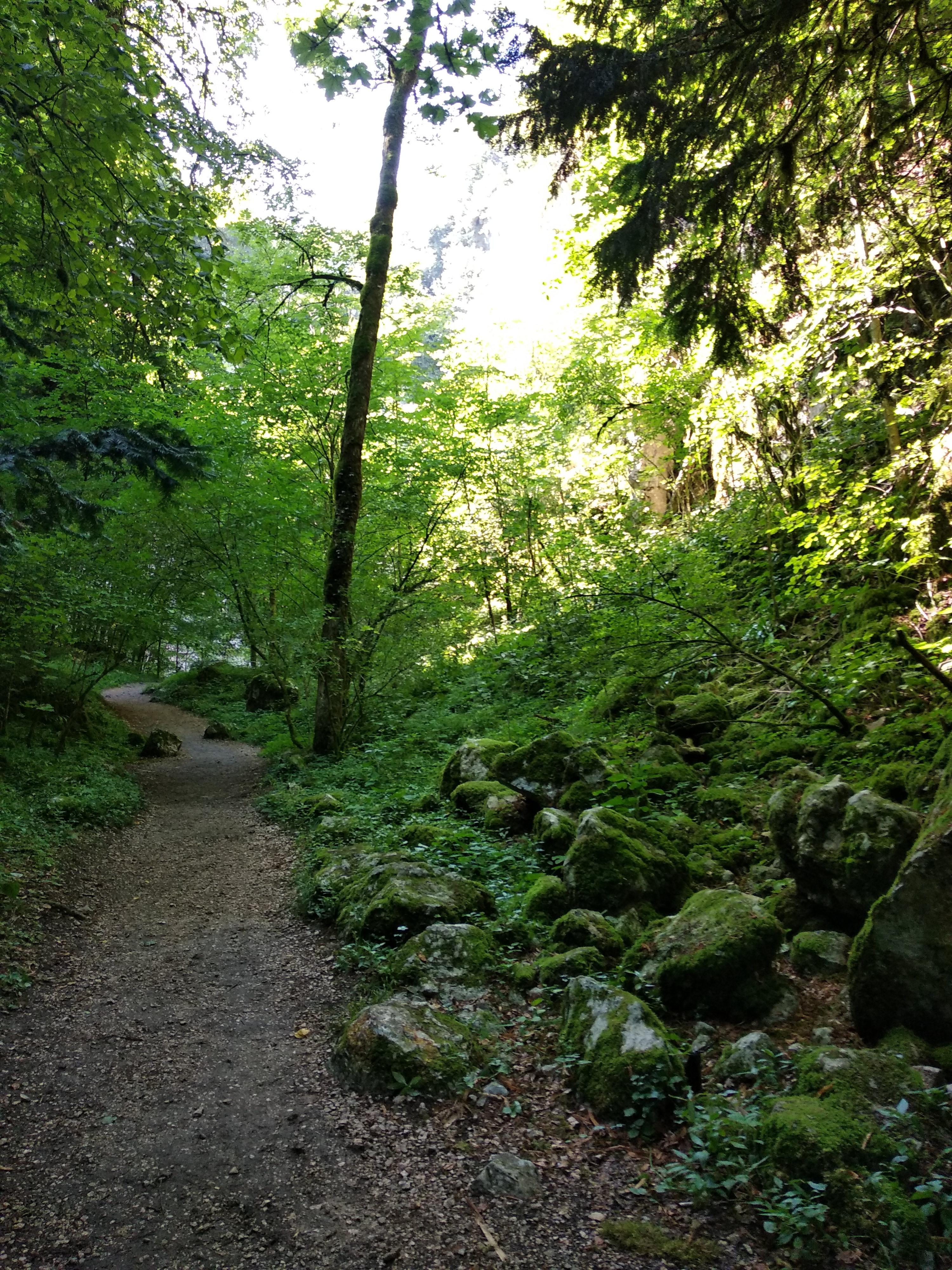 Photo n° 9 de l'avis de F.e fait le 22/08/2019 à 16:16