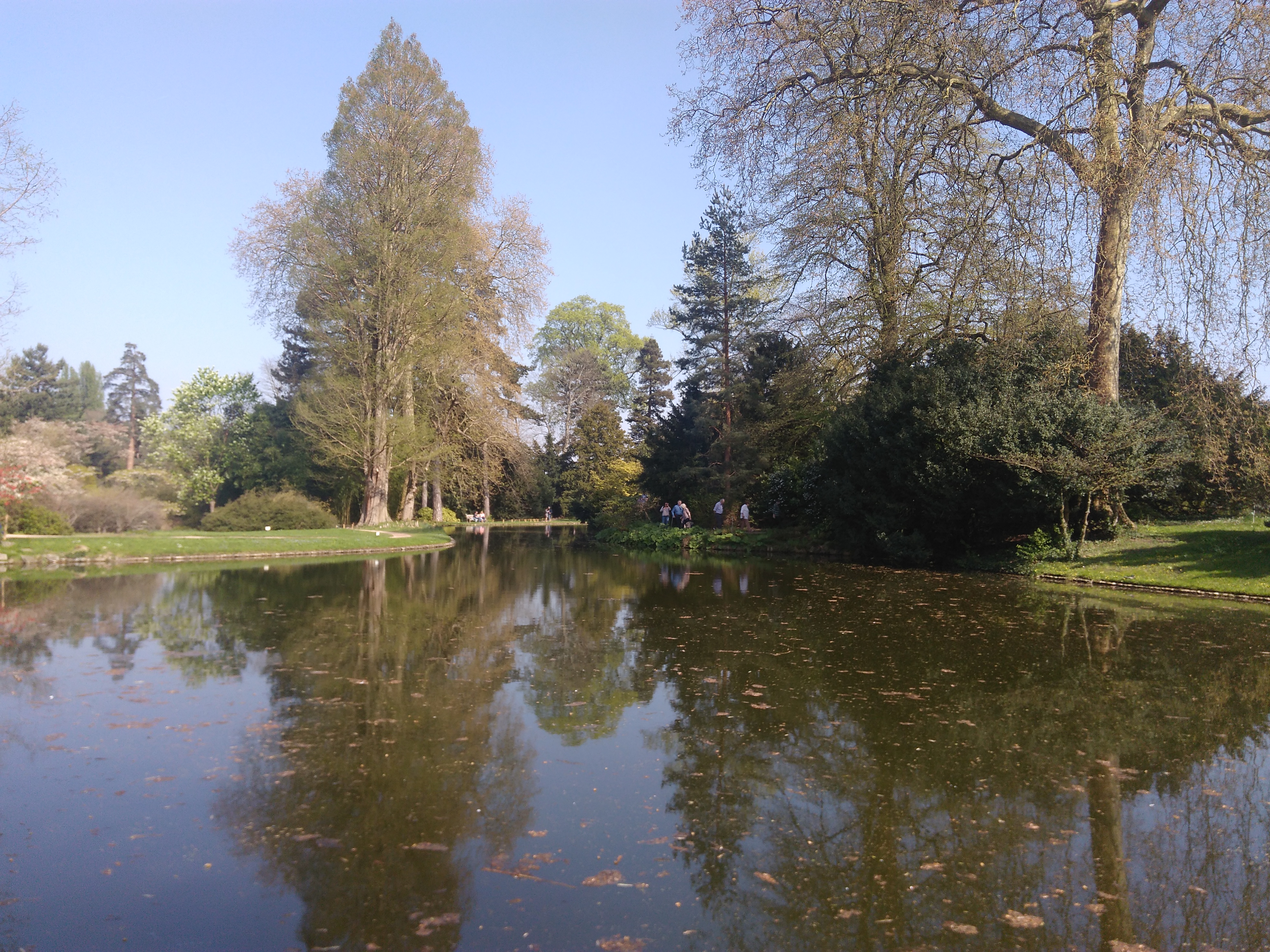 Photo n° 21 de l'avis de Nicolas.a fait le 08/04/2017 à 14:08