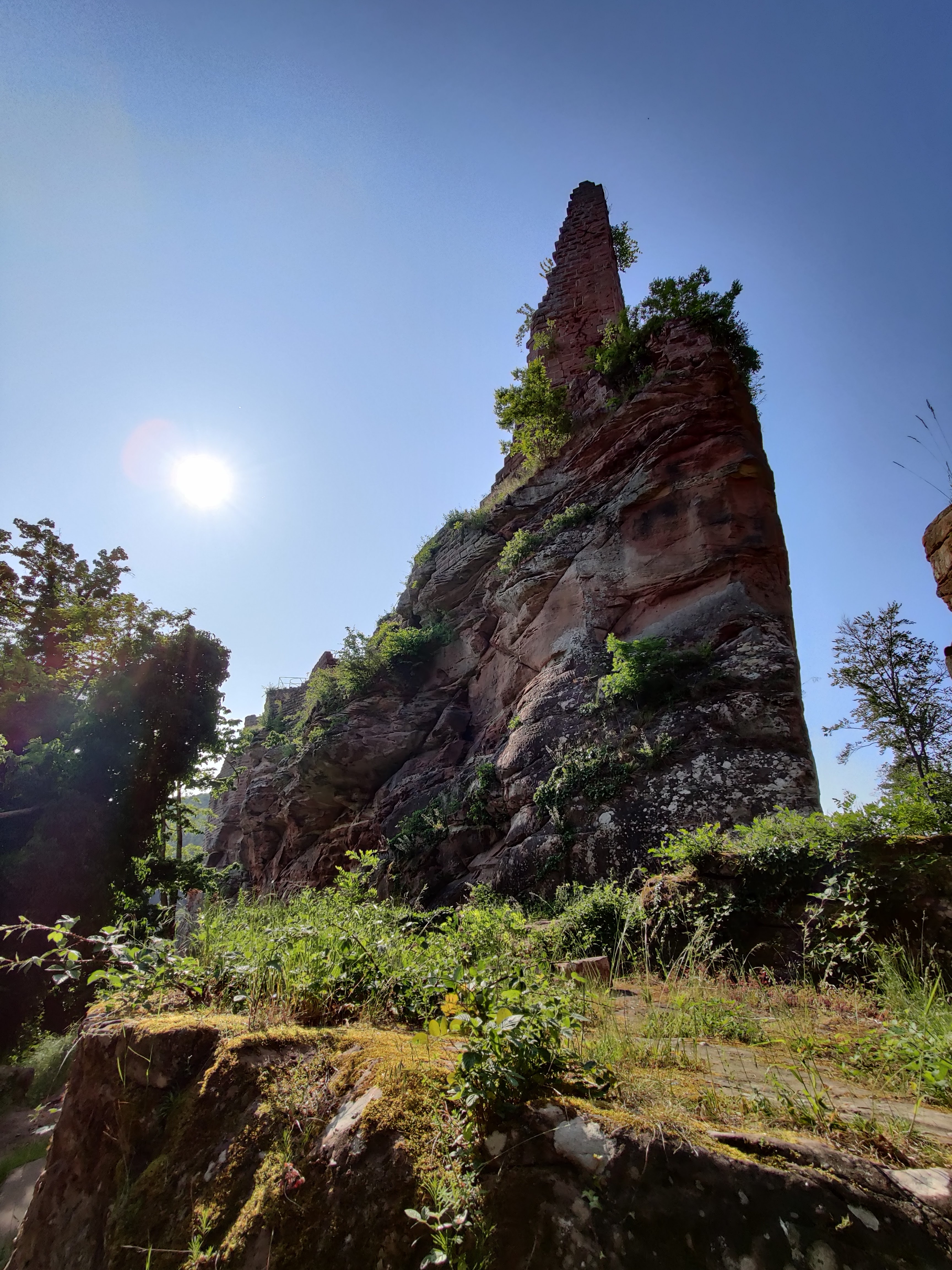 Photo n° 9 de l'avis de Marc-André. fait le 31/05/2023 à 14:12