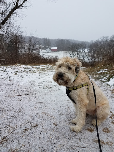 National Park «First State National Historical Park - Peters Rock Parking», reviews and photos, Thompsons Bridge Rd, Wilmington, DE 19803, USA