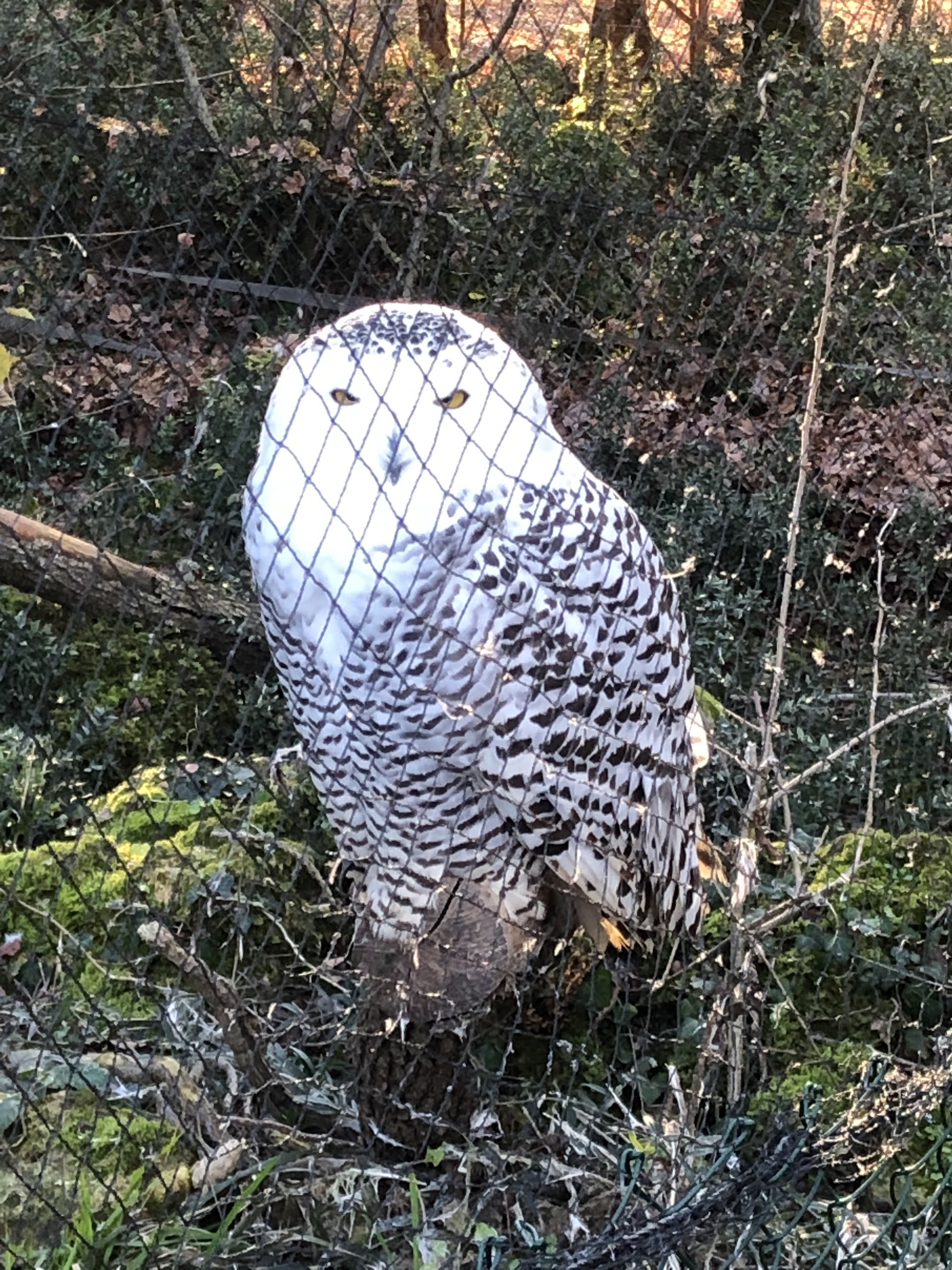 Photo n° 8 de l'avis de Claire.O fait le 18/12/2021 à 17:50