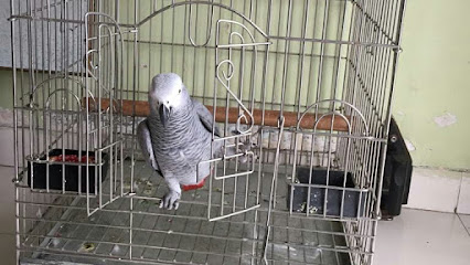 Pune Exotic Birds and Pets