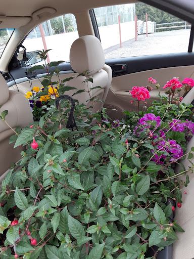 Produce Market «Dzen Garden Market», reviews and photos, 187 Windsorville Rd, Ellington, CT 06029, USA