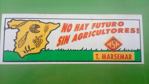 Videma en Madrigueras
