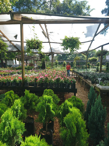 Gardening centre San Pedro Sula