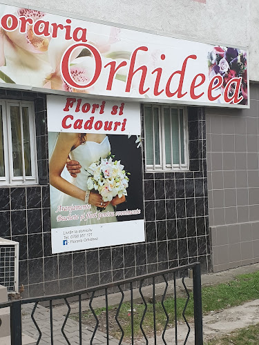 Floraria Orhideea