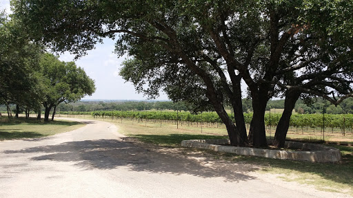 Vineyard «Texas Hills Vineyard», reviews and photos, 878 Ranch Rd 2766, Johnson City, TX 78636, USA
