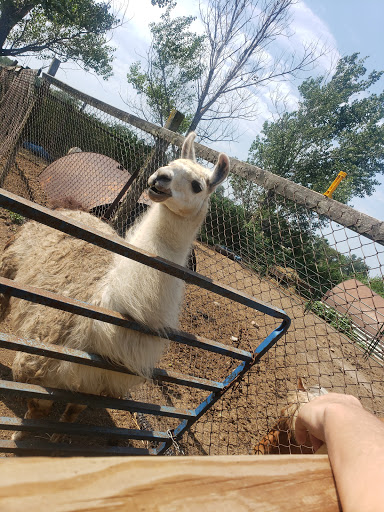 Zoo «Cricket Hollow Zoo», reviews and photos, 1512 210th St, Manchester, IA 52057, USA