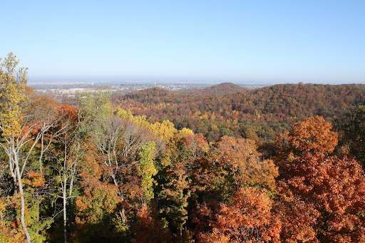 Jackson-Washington State Forest