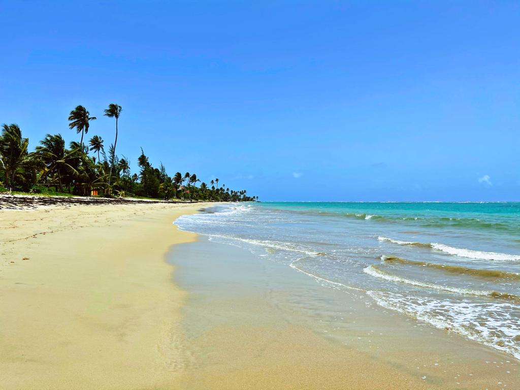 Foto de Playa Rio Grande com areia fina e brilhante superfície