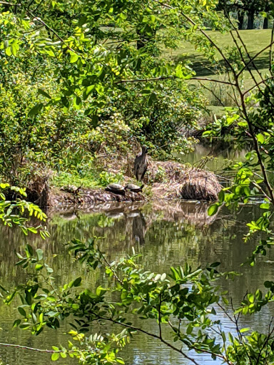 Golf Course «Cream Ridge Golf Course», reviews and photos, 181 County Road 539, Cream Ridge, NJ 08514, USA