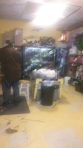 Florist «DeLuxe Florist», reviews and photos, 919 W 87th St, Chicago, IL 60620, USA