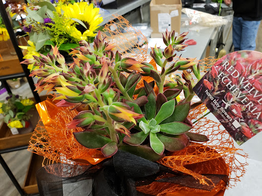 Grocery Store «Safeway», reviews and photos, 6701 E Mill Plain Blvd, Vancouver, WA 98661, USA