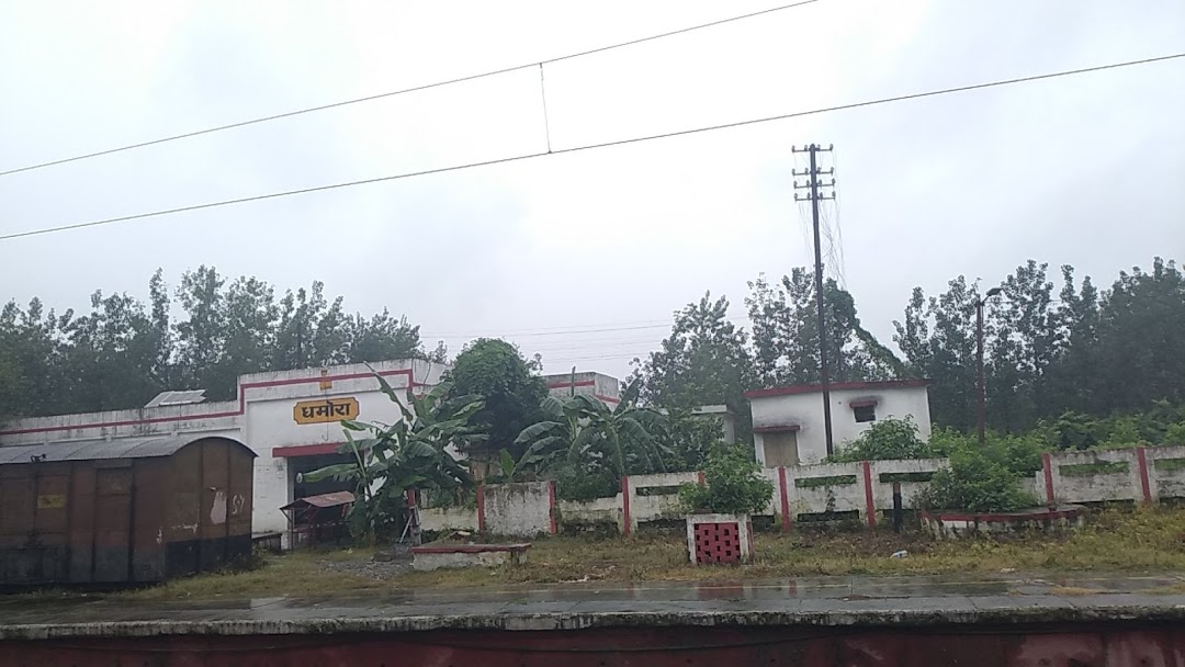 Dhamora