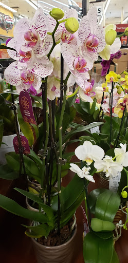 Grocery Store «Kroger», reviews and photos, 25780 Middlebelt Rd, Farmington Hills, MI 48336, USA