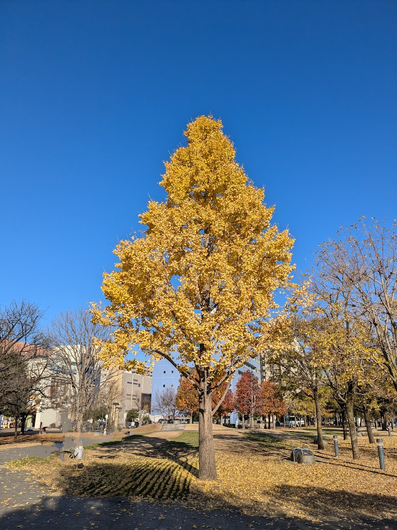 きたまちしましま公園