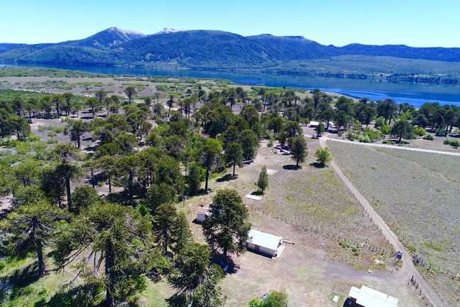 Camping y Cabañas orillas del lago Galletué