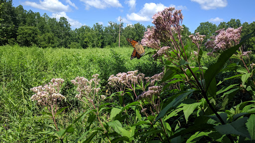 Nature Preserve «Sweedler and Thayer Preserves», reviews and photos, 10 Townline Rd, Ithaca, NY 14850, USA