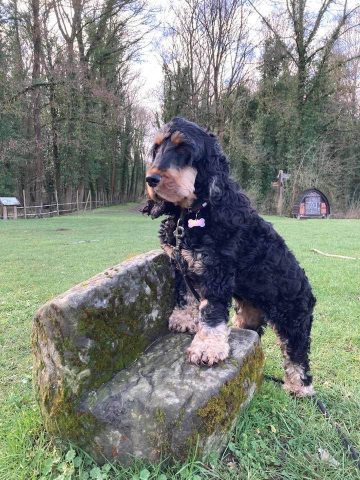 Photo n° 2 de l'avis de Aline. fait le 21/10/2021 à 16:12