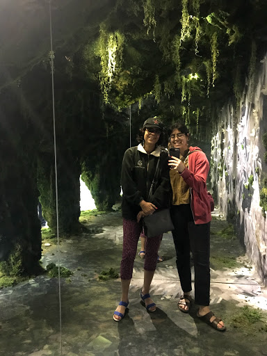 Interior Plant Service «Plant The Future, Inc.», reviews and photos, 2511 NW 2nd Ave, Miami, FL 33127, USA