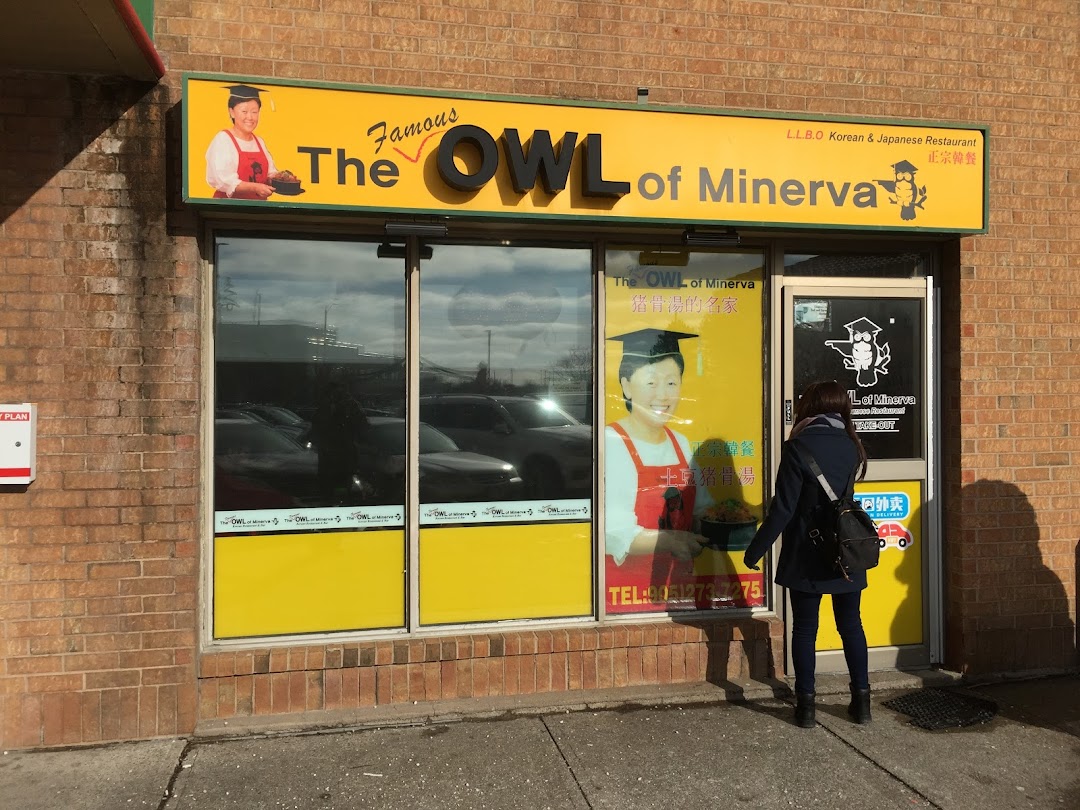 The Famous Owl of Minerva