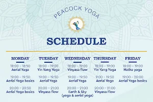 Peacock yoga center image