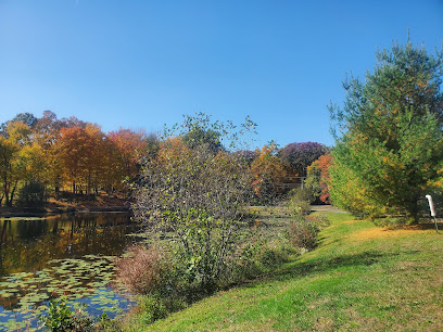 Baummer Pond