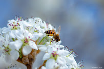 StakkHouse Media - Photo 3 - Car repair in San Angelo, TX, San Angelo