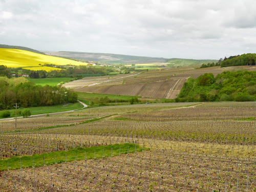 Champagne Cabouat-Régnier à Belval-sous-Châtillon