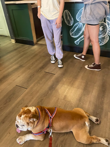 Coffee Shop «Common Grounds Coffee Bar», reviews and photos, 12 S J St, Lake Worth, FL 33460, USA