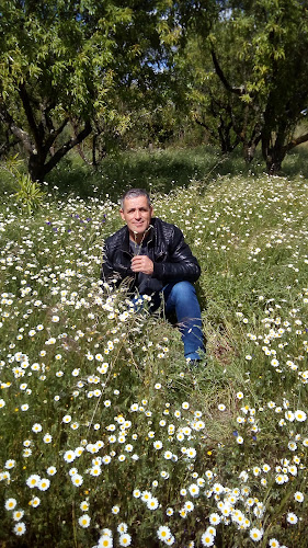 Quinta do Gaio de Cima - Cartaxo