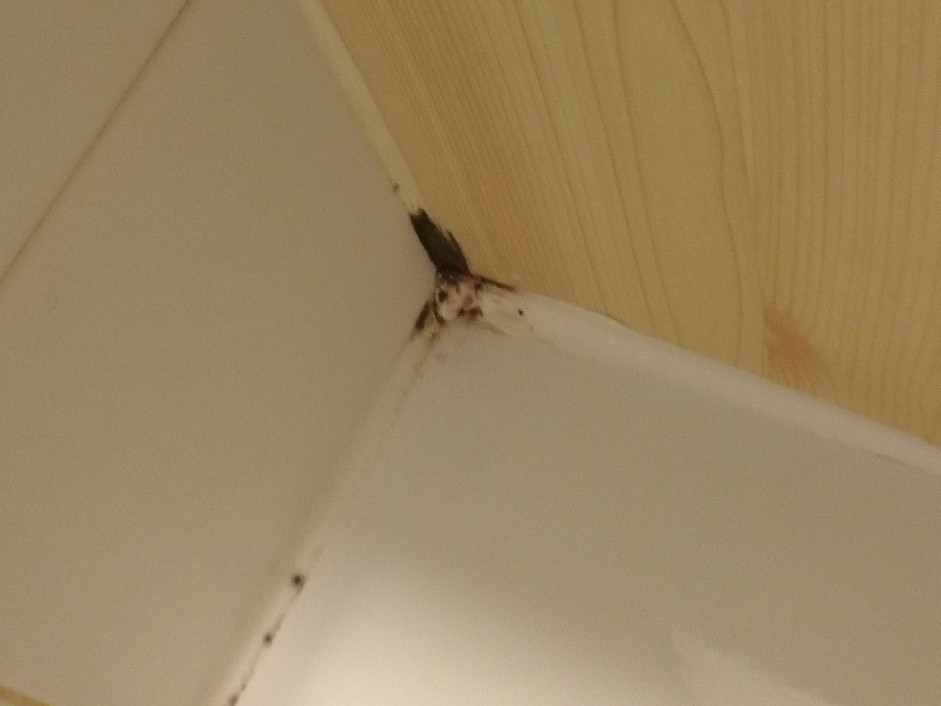 Photo n° 3 de l'avis de Anais.a fait le 26/02/2023 à 18:13