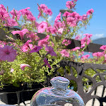 Photo n°6 de l'avis de C.i fait le 17/07/2023 à 16:14 sur le  AL POSTO GIUSTO - PORTO CERESIO à Porto Ceresio