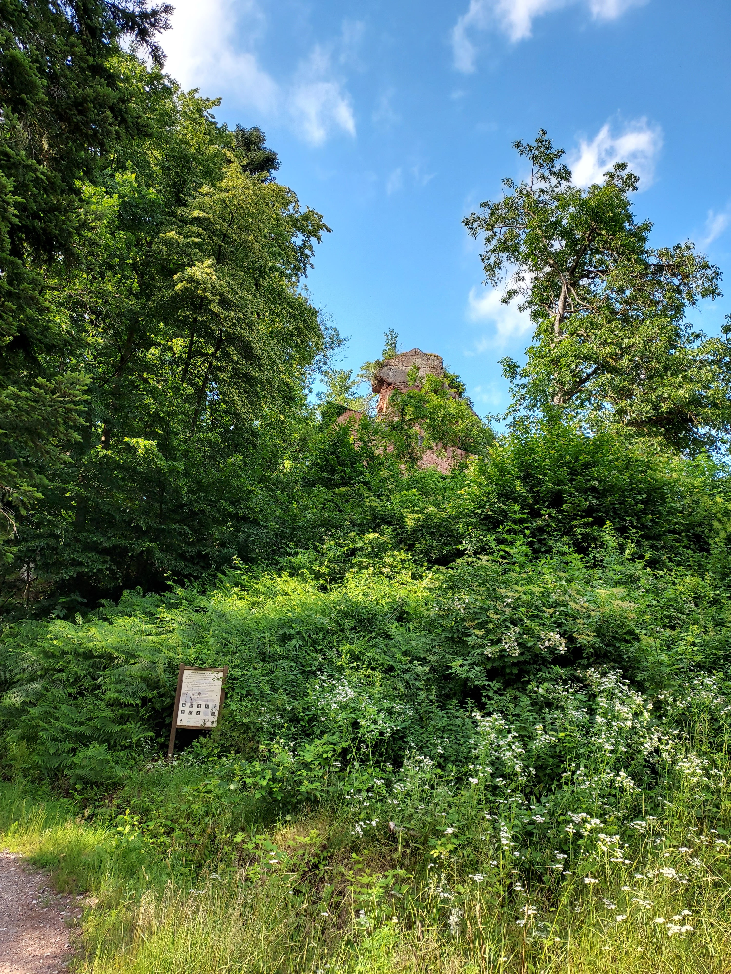 Photo n° 2 de l'avis de Nadine. fait le 03/07/2021 à 11:57