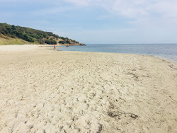 Lido Sovareto Plajı'in fotoğrafı - rahatlamayı sevenler arasında popüler bir yer