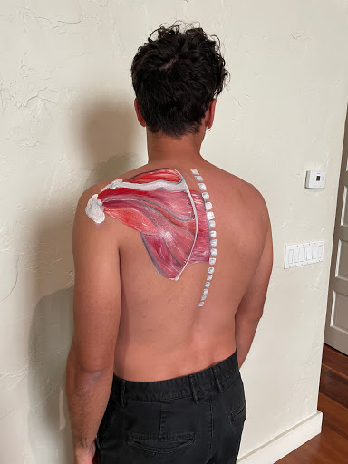 Kineci - Health In Motion image