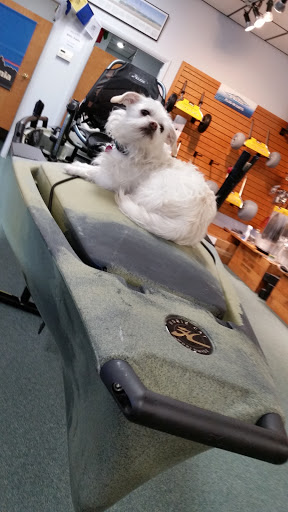 Outdoor Sports Store «Wild River Outfitters Inc», reviews and photos, 3636 Virginia Beach Blvd #108, Virginia Beach, VA 23452, USA
