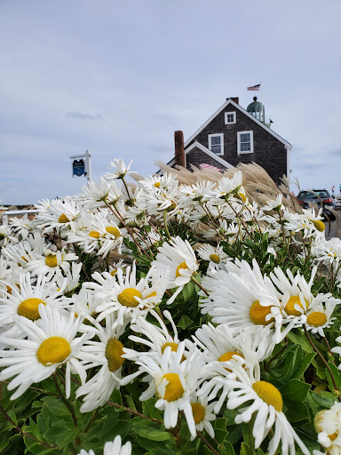 Tourist Attraction «Scituate Lighthouse», reviews and photos, 99 Lighthouse Rd, Scituate, MA 02066, USA