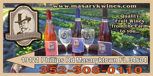 Winery «Masaryk Winery», reviews and photos, 19125 Phillips Rd, Masaryktown, FL 34604, USA